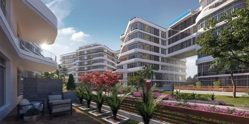 بلومفيلدز - صورة 5