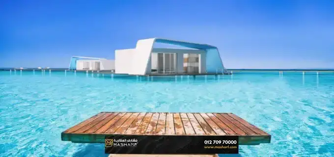 فوكا باي - صورة 1